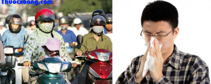 bệnh viêm xoang mũi mùa hè