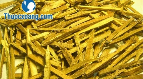 Chữa viêm xoang bằng hoàng bá