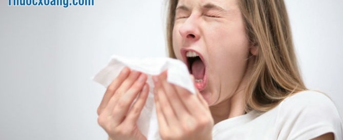 Phân biệt viêm xoang và viêm mũi dị ứng giúp bạn có phương pháp điều trị bệnh hiệu quả hơn