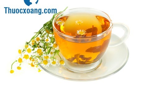 Trà hoa cúc có tác dụng điều trị viêm xoang rất tốt.