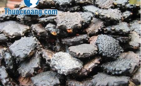 Hạt gấc chưa viêm xoang hiệu quả